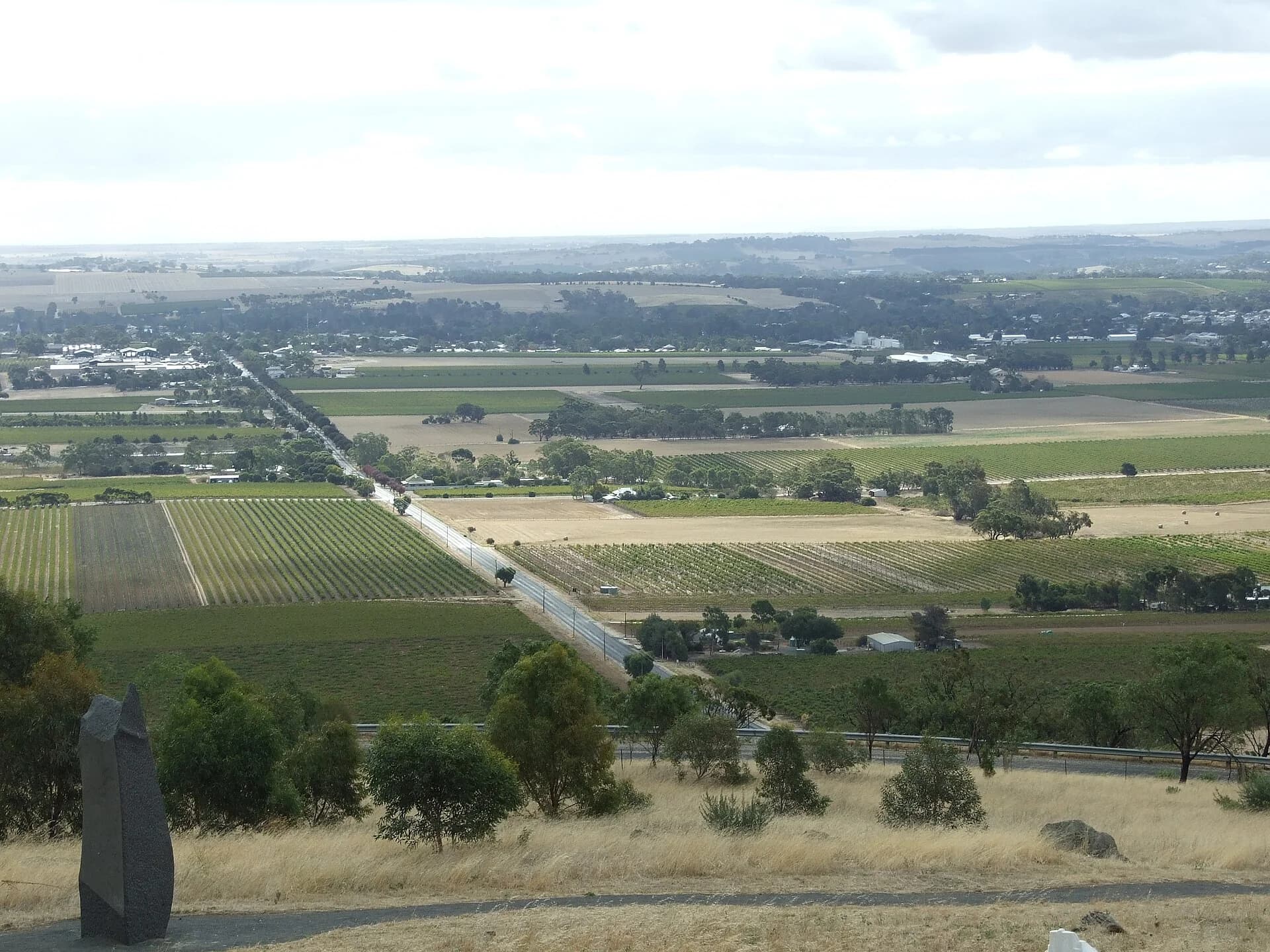 Vineyard rows and farmland seen from above in South Australia's Barossa Valley