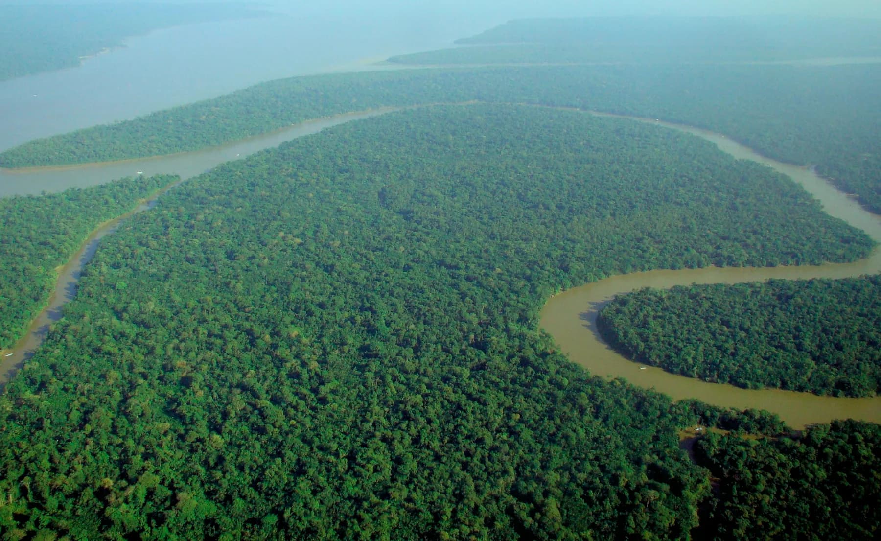 Aerial view of the Solimões River curving through dense Amazon rainforest in Brazil