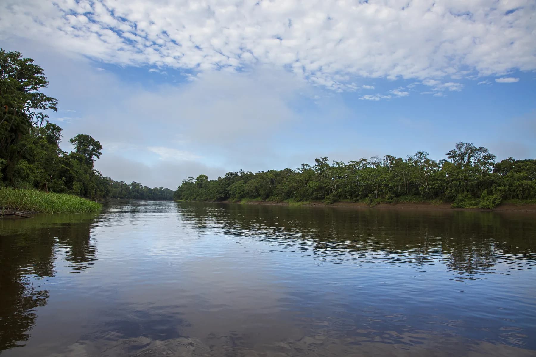 Calm river and rainforest beneath a wide sky in Pacaya Samiria National Reserve, Peru