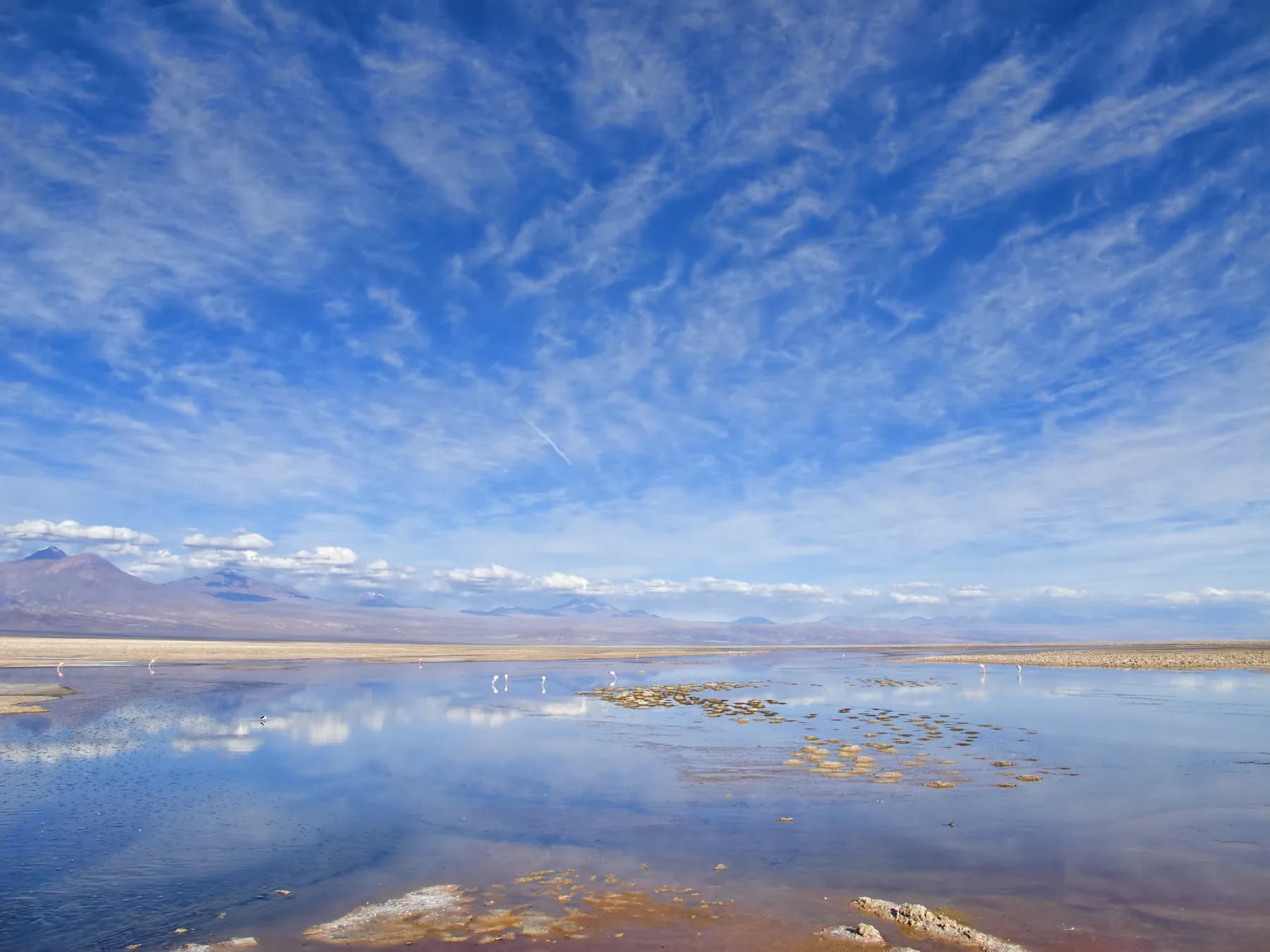 Clouds reflected in a still lagoon in Los Flamencos National Reserve at the Salar de Atacama