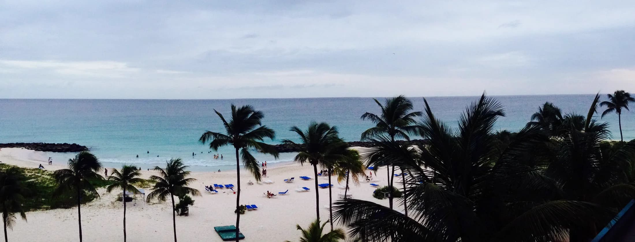 Palm-lined Carlisle Bay Beach near Bridgetown, Barbados