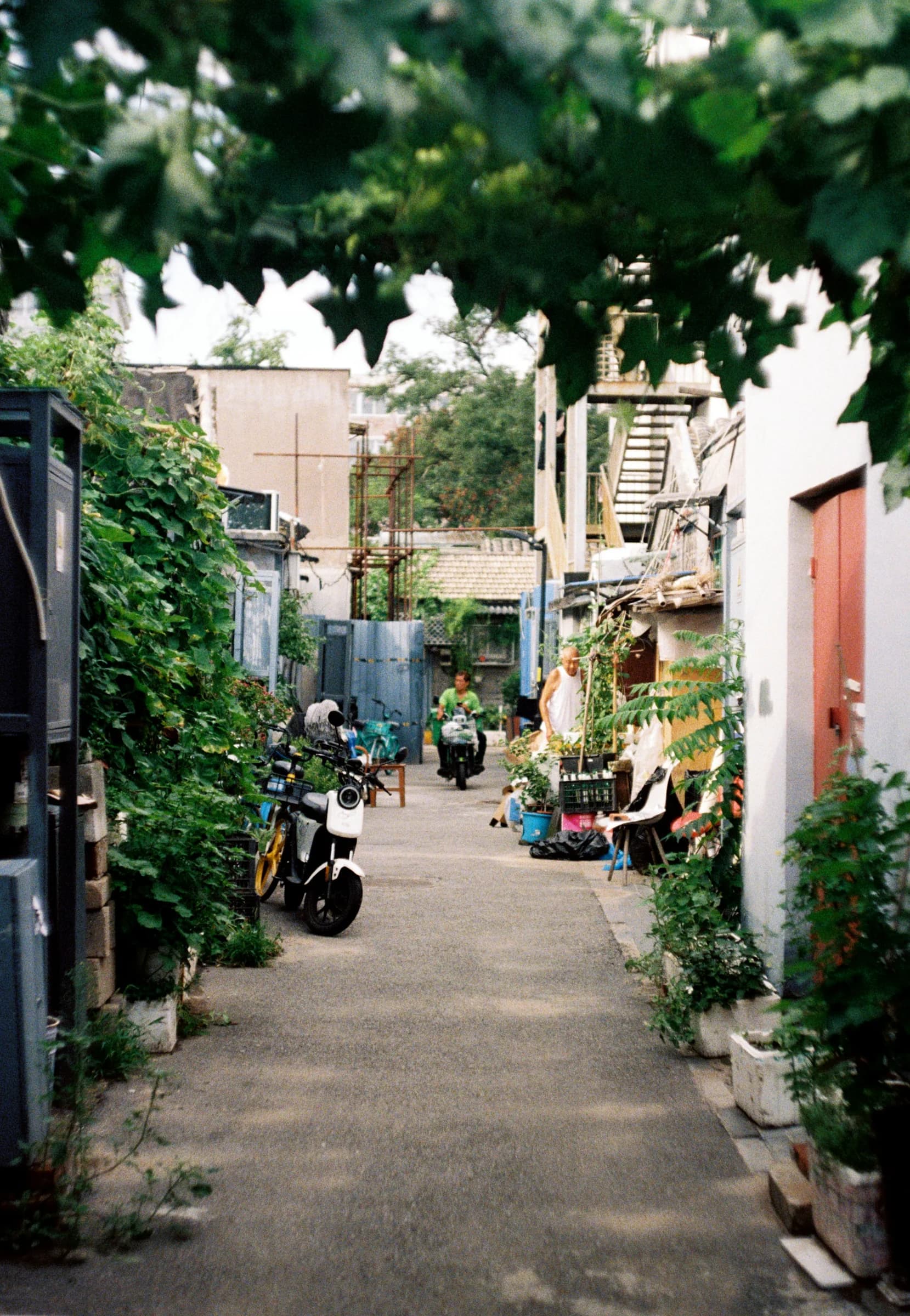 Green-lined hutong lane with scooters and low-rise courtyard homes in Beijing
