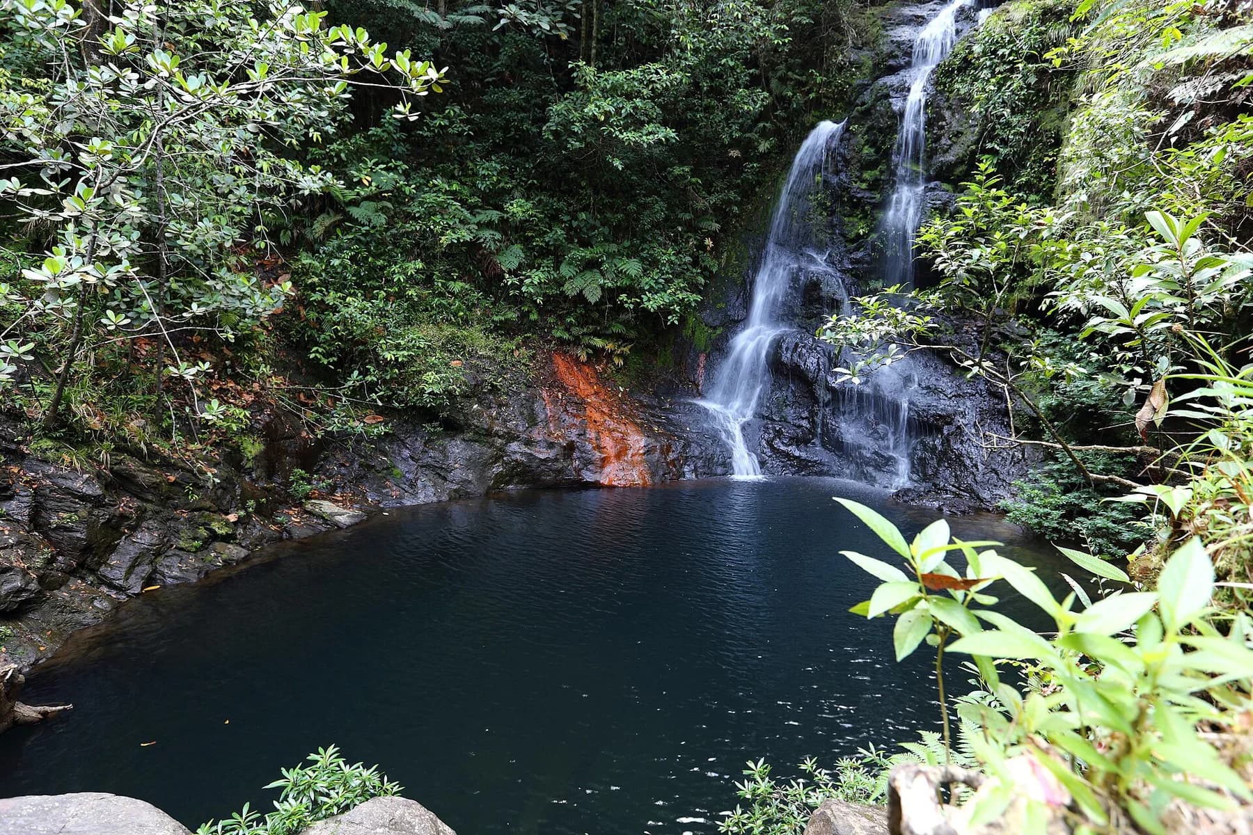 Waterfall and dark swimming pool in the rainforest at Cockscomb Basin