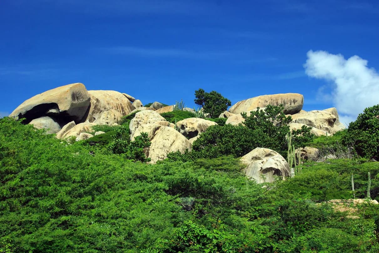 Rounded granite boulders rising above green scrub at Ayo Rock Formations in Aruba