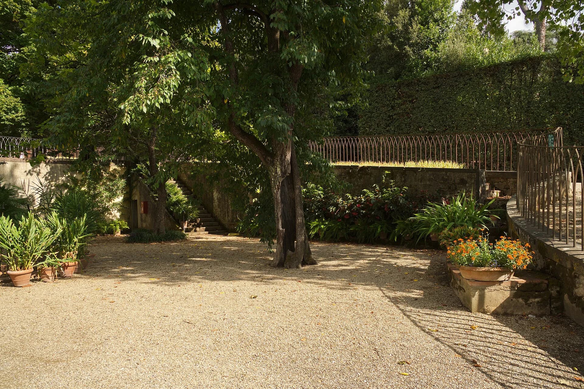 Shaded gravel path and clipped greenery in Florence's Boboli Gardens
