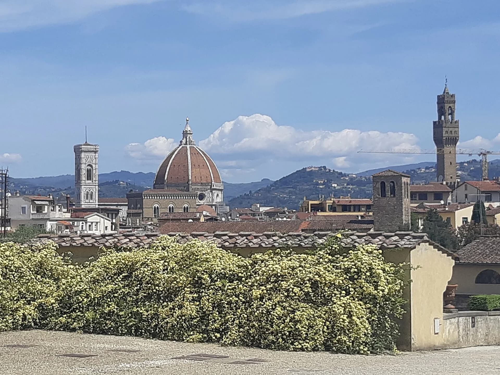 Florence skyline with Brunelleschi's dome and Palazzo Vecchio above terracotta roofs